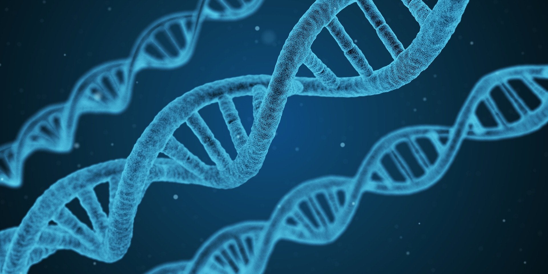 Photo illustration of DNA strands